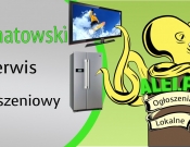 Projekt graficzny, nazwa firmy, tworzenie logo firm billboard reklamowy   alei.pl - BlindSwan