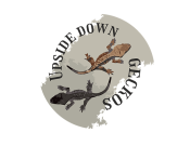 Projekt graficzny, nazwa firmy, tworzenie logo firm Logo dla hodowli gekonów orzesionych - FANGRAF