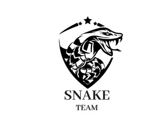 Projekt graficzny logo dla firmy online snake team