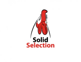 solid selection - projektowanie logo - konkurs graficzny