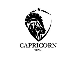 Projekt graficzny logo dla firmy online capricorn team