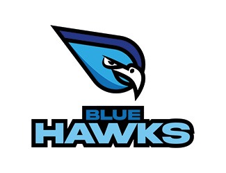 Projektowanie logo dla firm online Blue Hawks